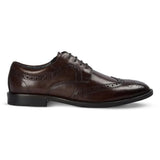 Cambridge - Herr Mörkbruna Wingtip Brogue Derbyskor