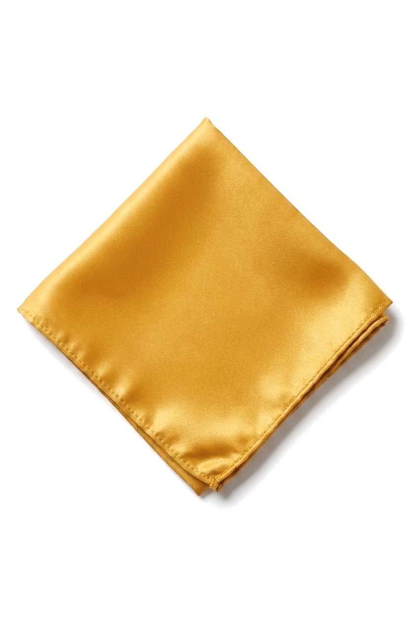 Cavani Satin Slips - Matchande Herrslips i Satin Siden Näsduk & Slipsklämma Prickig Bröllopsbal Kontorsslips