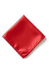 Cavani Satin Slips - Matchande Herrslips i Satin Siden Näsduk & Slipsklämma Prickig Bröllopsbal Kontorsslips