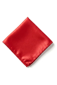 Cavani Satin Slips - Matchande Herrslips i Satin Siden Näsduk & Slipsklämma Prickig Bröllopsbal Kontorsslips