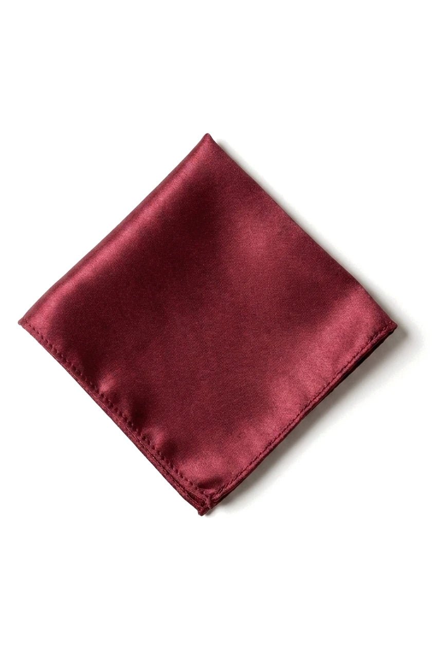 Cavani Satin Slips - Matchande Herrslips i Satin Siden Näsduk & Slipsklämma Prickig Bröllopsbal Kontorsslips