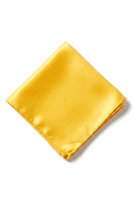 Cavani Satin Slips - Matchande Herrslips i Satin Siden Näsduk & Slipsklämma Prickig Bröllopsbal Kontorsslips